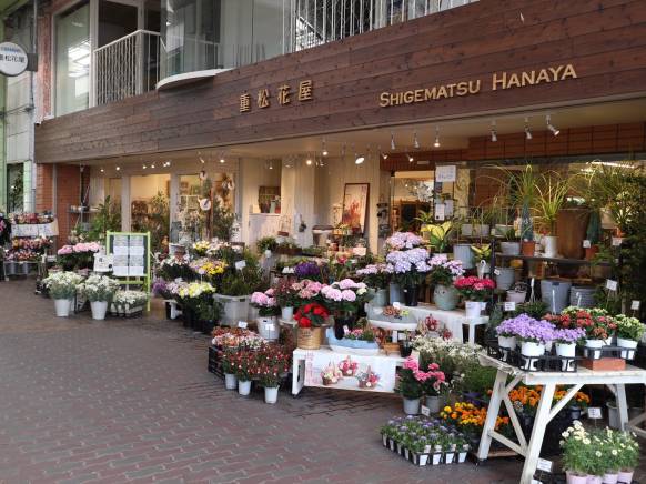 「重松花屋」　（長崎県島原市）の花屋店舗写真1